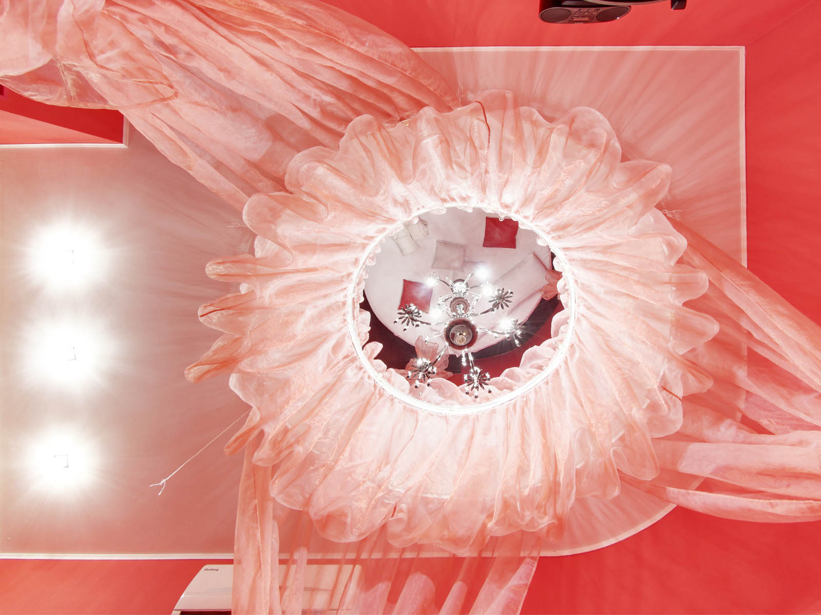 Фото Клюква