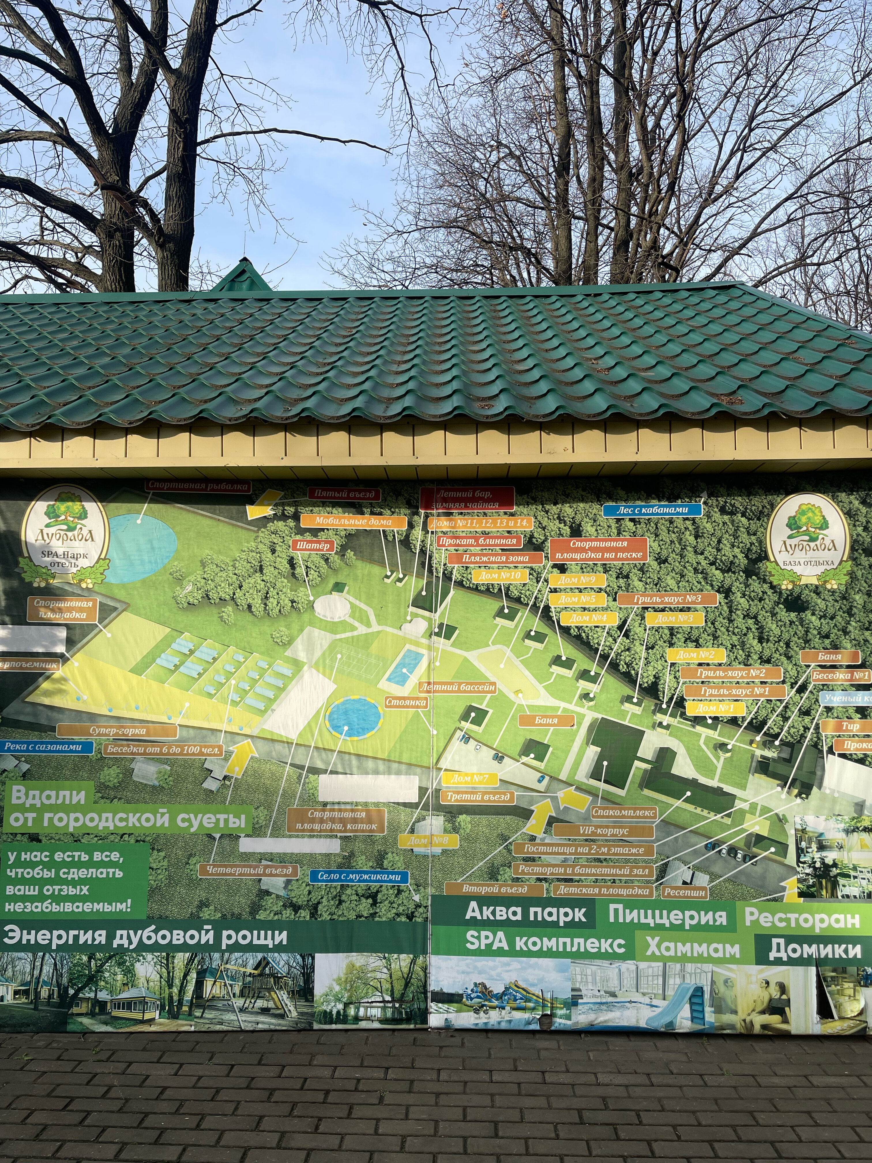 Фото Дубрава