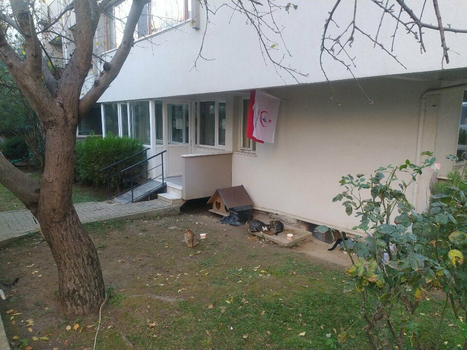 Ambulatory care centre, first aid post Istanbul Uskudar Family Health Center No. 15, Istanbul, photo