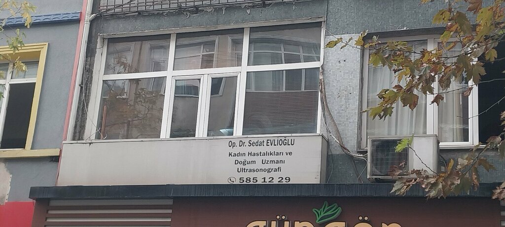 Clínica ginecológica Dr. Sedat Evlioglu Women's Diseases and Birth Clinic, , foto
