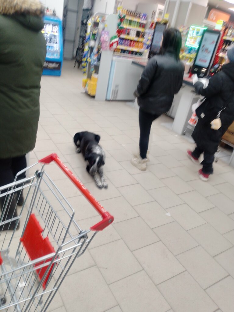 Supermarket Magnit, Tyumen Oblast, photo