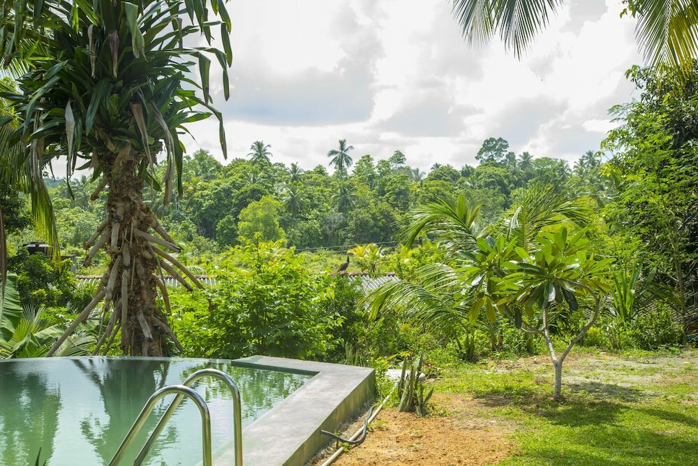 Фото Meadow Villa - Galle