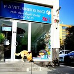 Pet Home Veterinary Clinic (Kayseri, Melikgazi, Köşk Mah., Karaçay Sok., 6-B), veterinary clinic