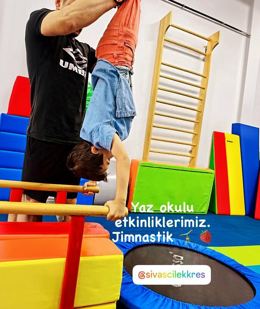 Kindergarten, nursery Sivas Strawberry Nursery and Daycare, Sivas, photo