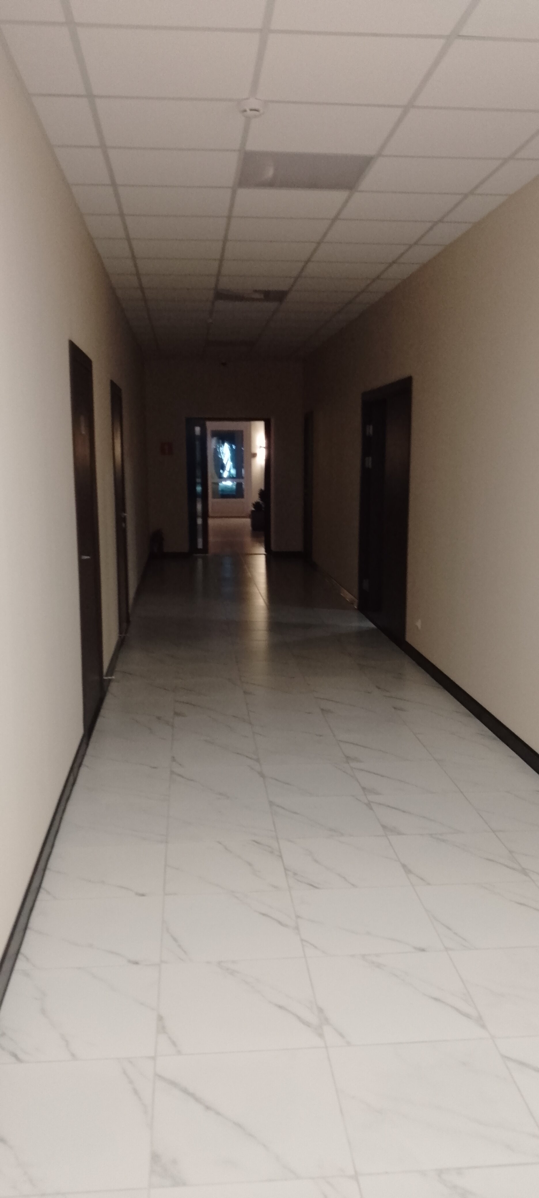 Фото Спектр