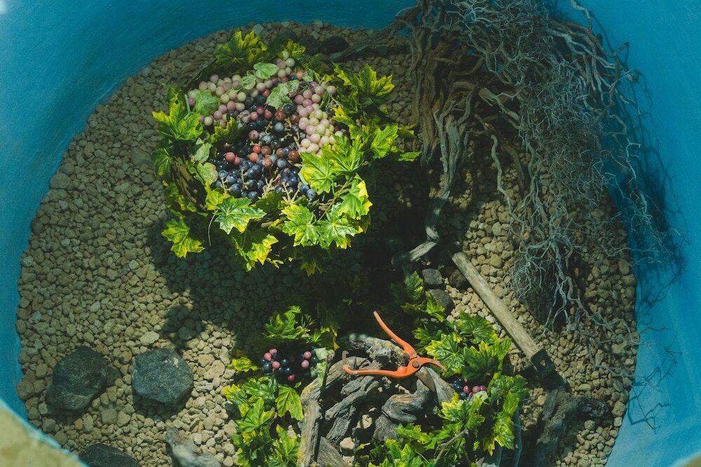 Фото Flora's House