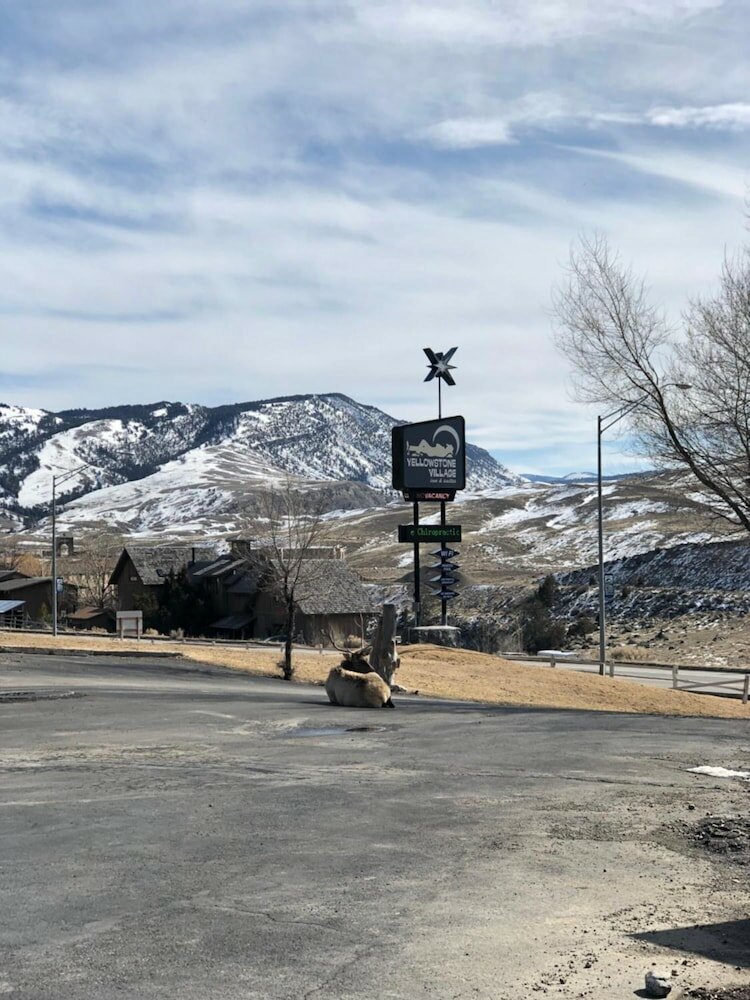 Фото Yellowstone Village Inn and Suites