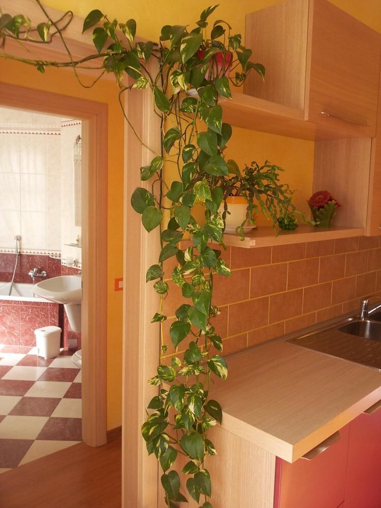 Фото Thousand Colors