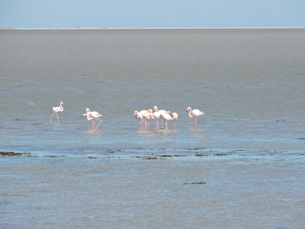 Фото Hôtel Al Baraka
