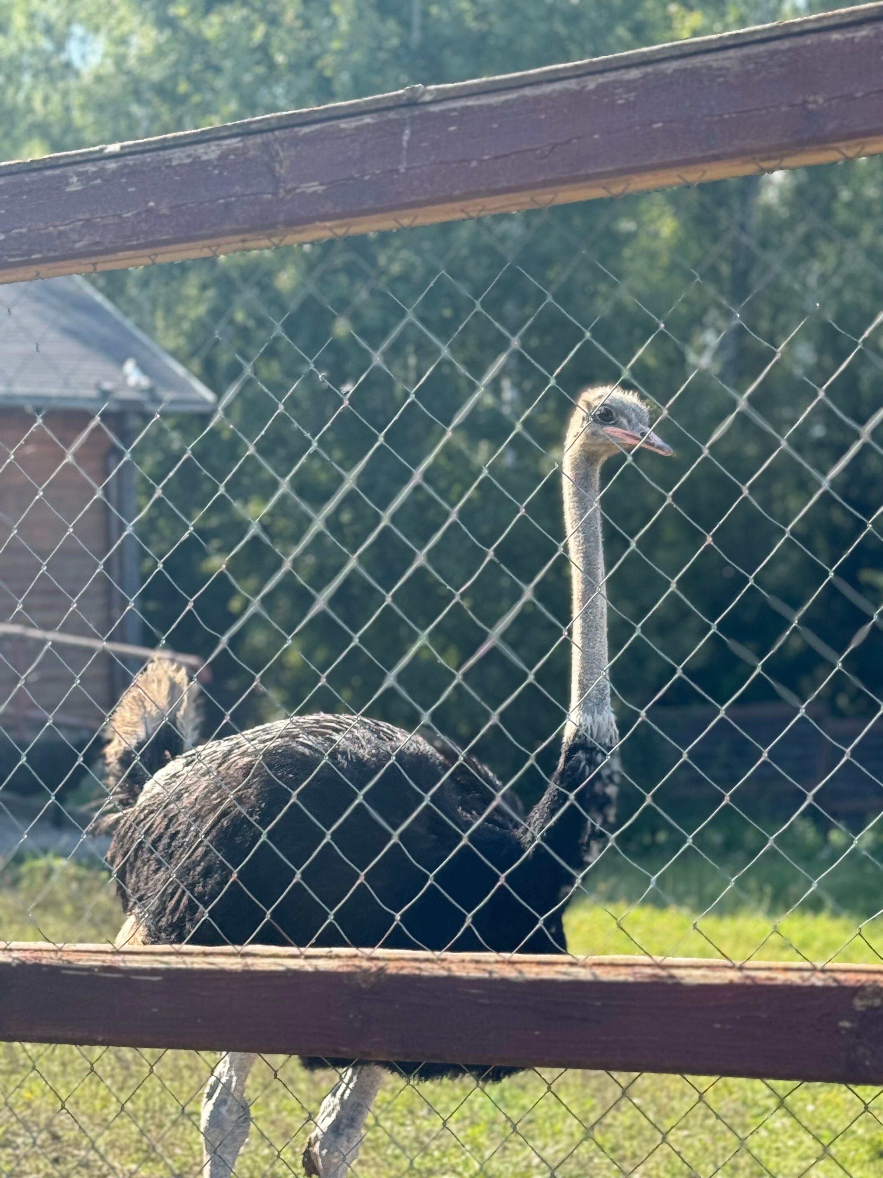 Фото Капитанский Остров 57