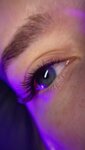 LashBoss Studio (Kolomenskaya Street, 9с4), beauty salon