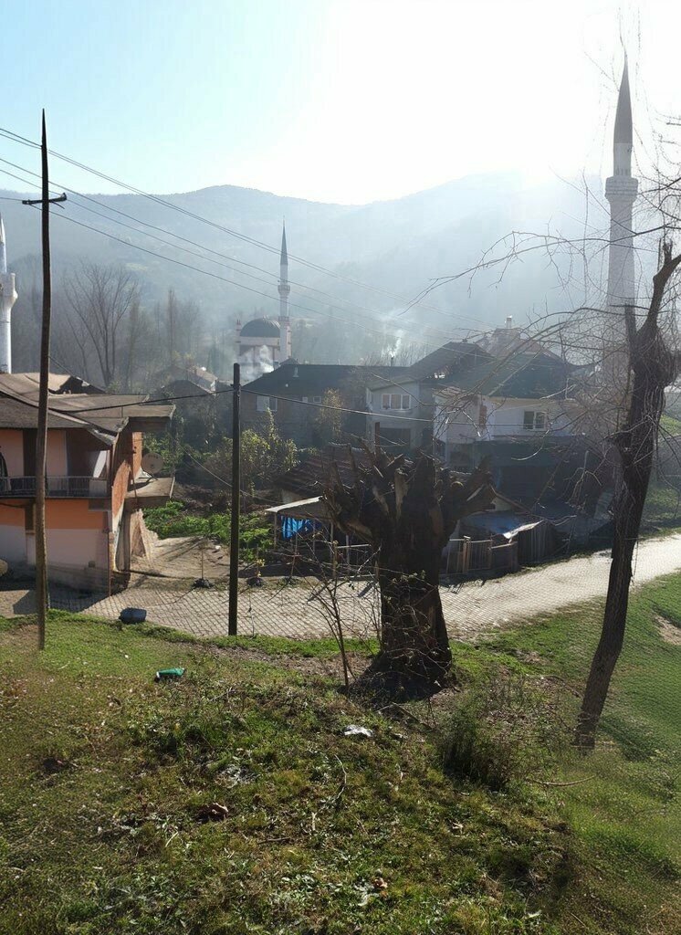 School Kisla Middle School, Caycuma, photo