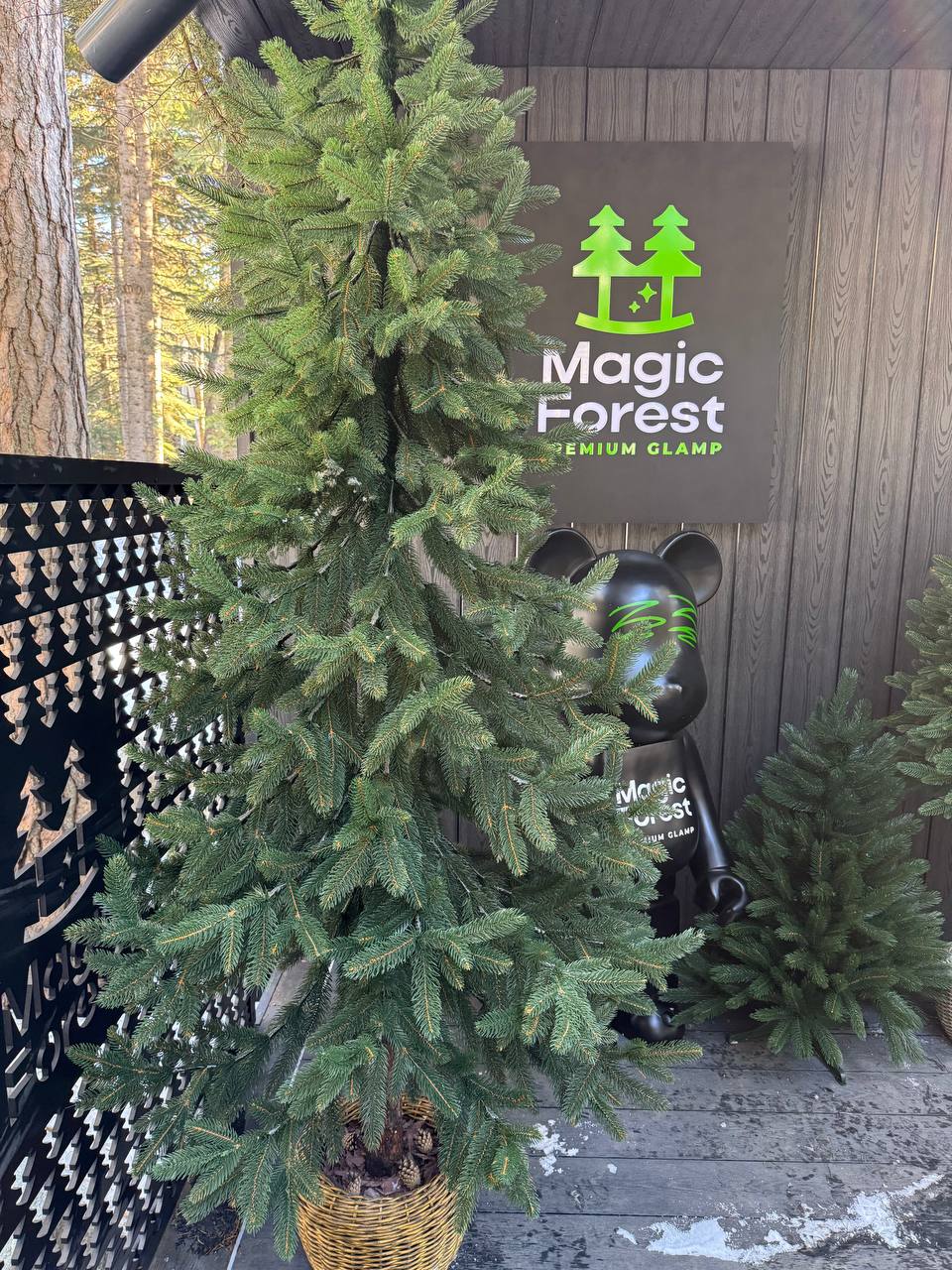 Фото Magic Forest