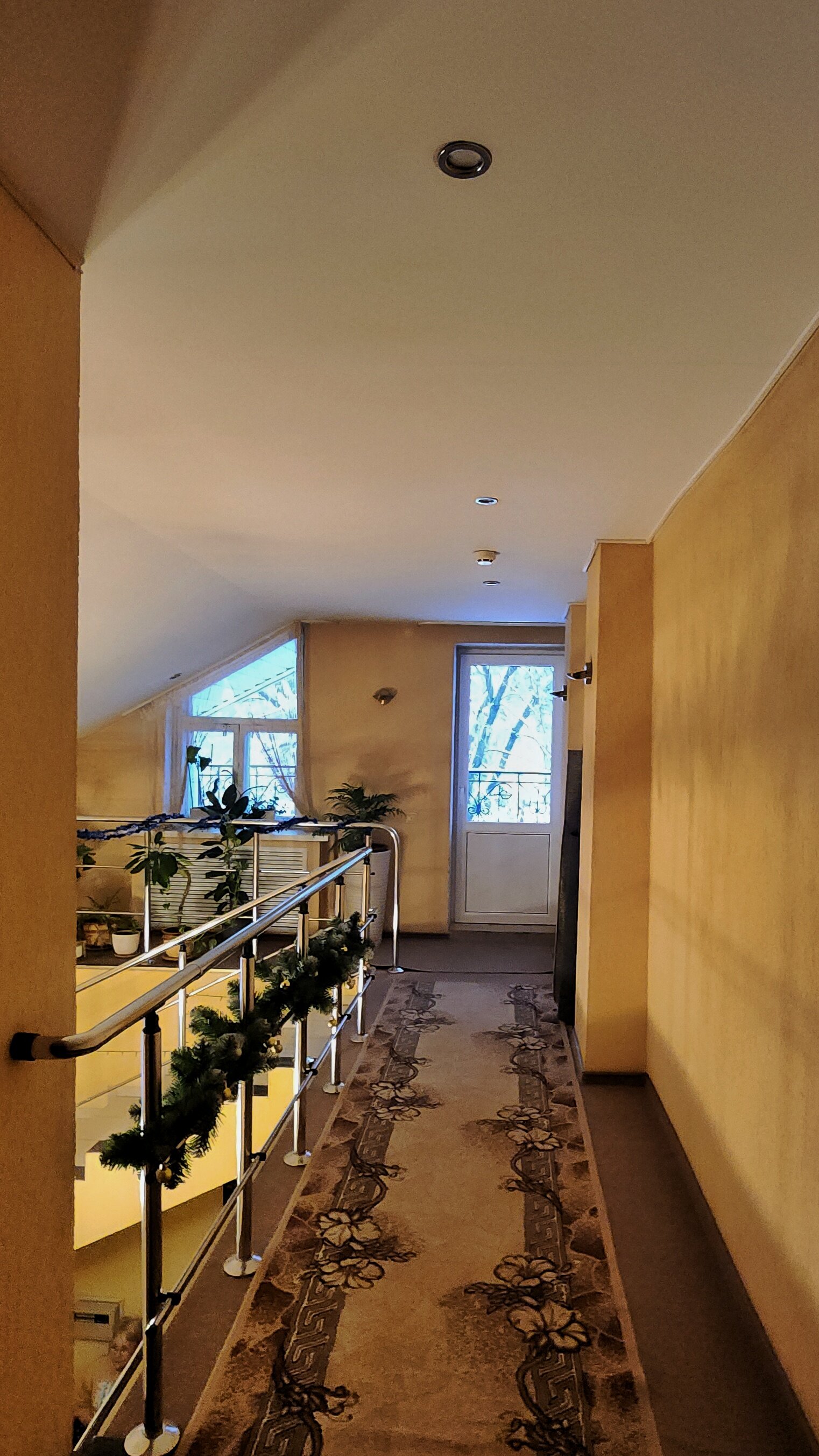 Фото Парадиз