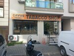 Cavus Tobacco Shop (İzmir, Bayraklı, Gümüşpala Mah., 7000 Sok., 74) ، بيع منتجات التبغ بالجملة