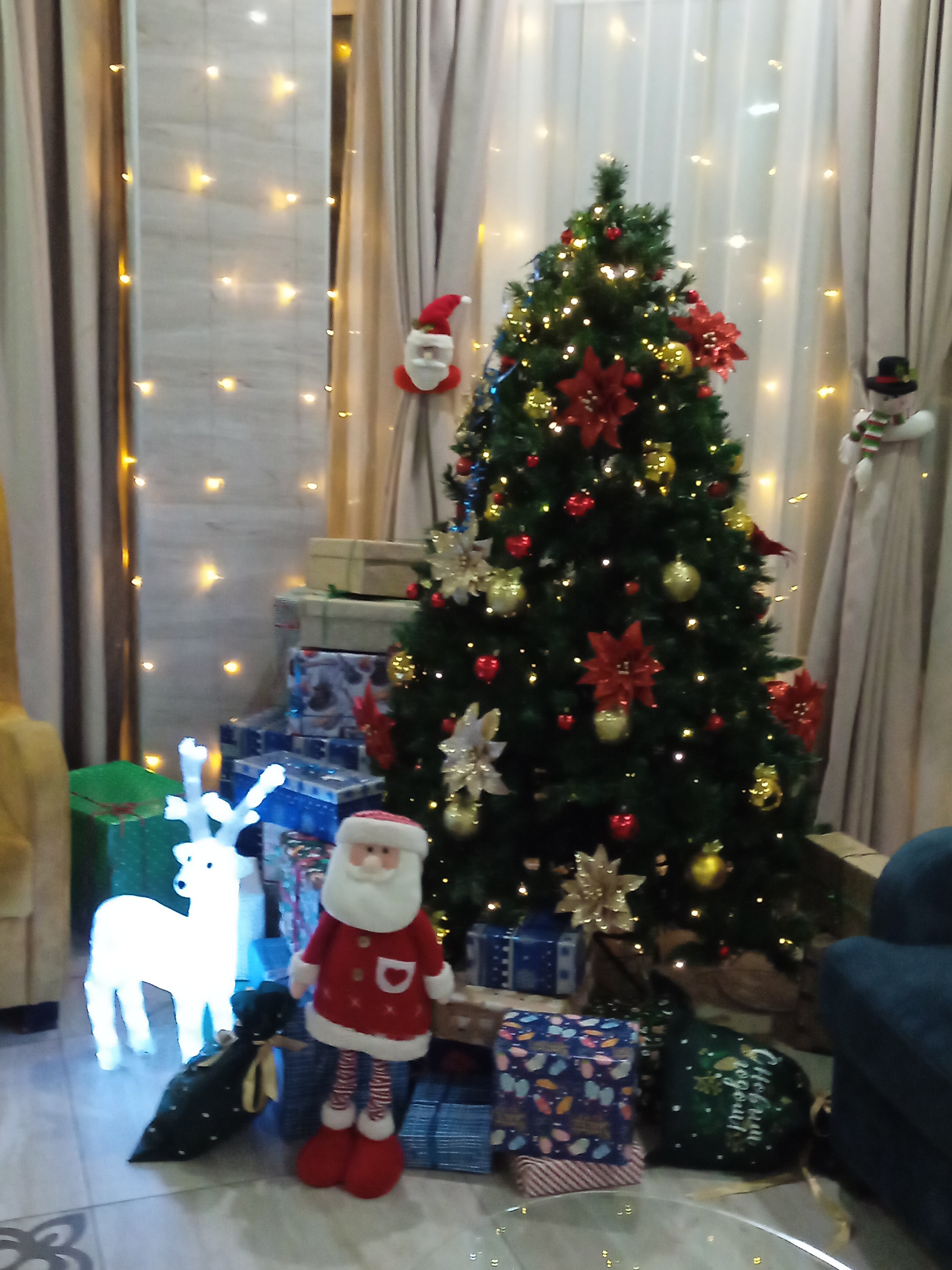 Фото Анатоль