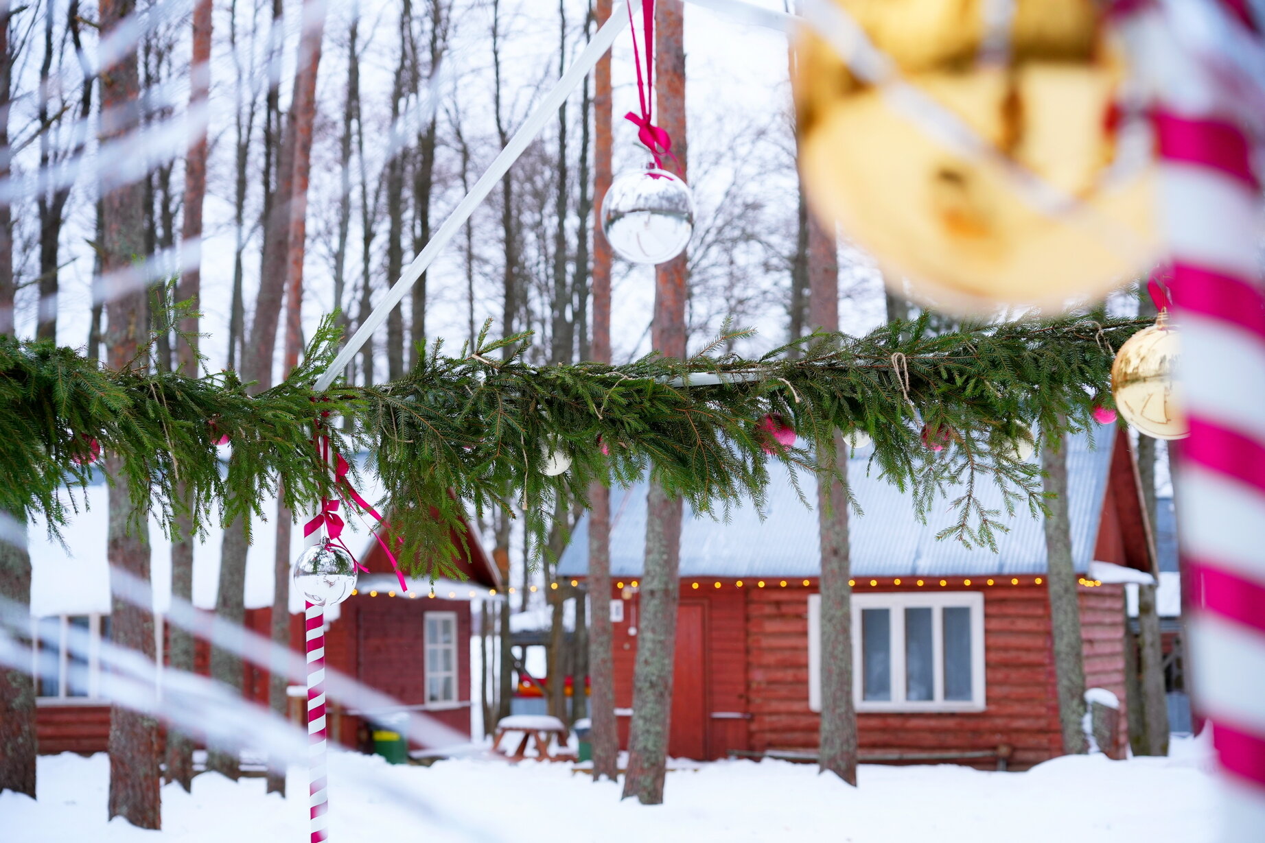 Фото Нептун