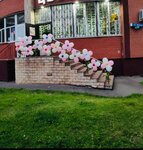 Tatiana Marchenko's balloons (Zheleznodorozhny Microdistrict, Novaya ulitsa, 49) ، متجر الهدايا والتذكارات