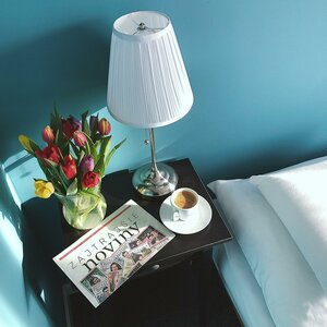 Гостиница TeleDom Hotel