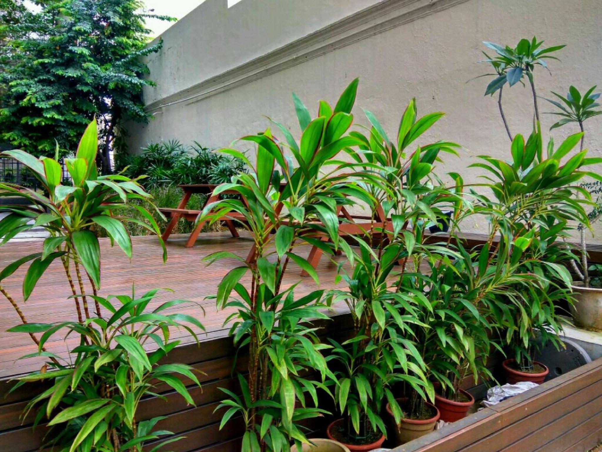 Фото Greatwood Residence at Devonshire