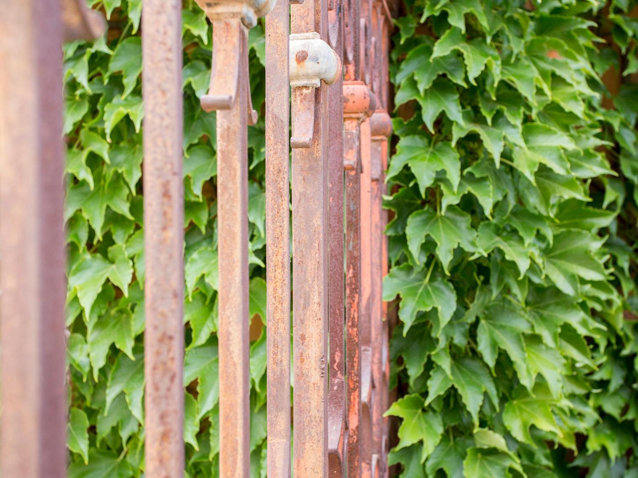 Фото Can Beia Suites - Adults Only