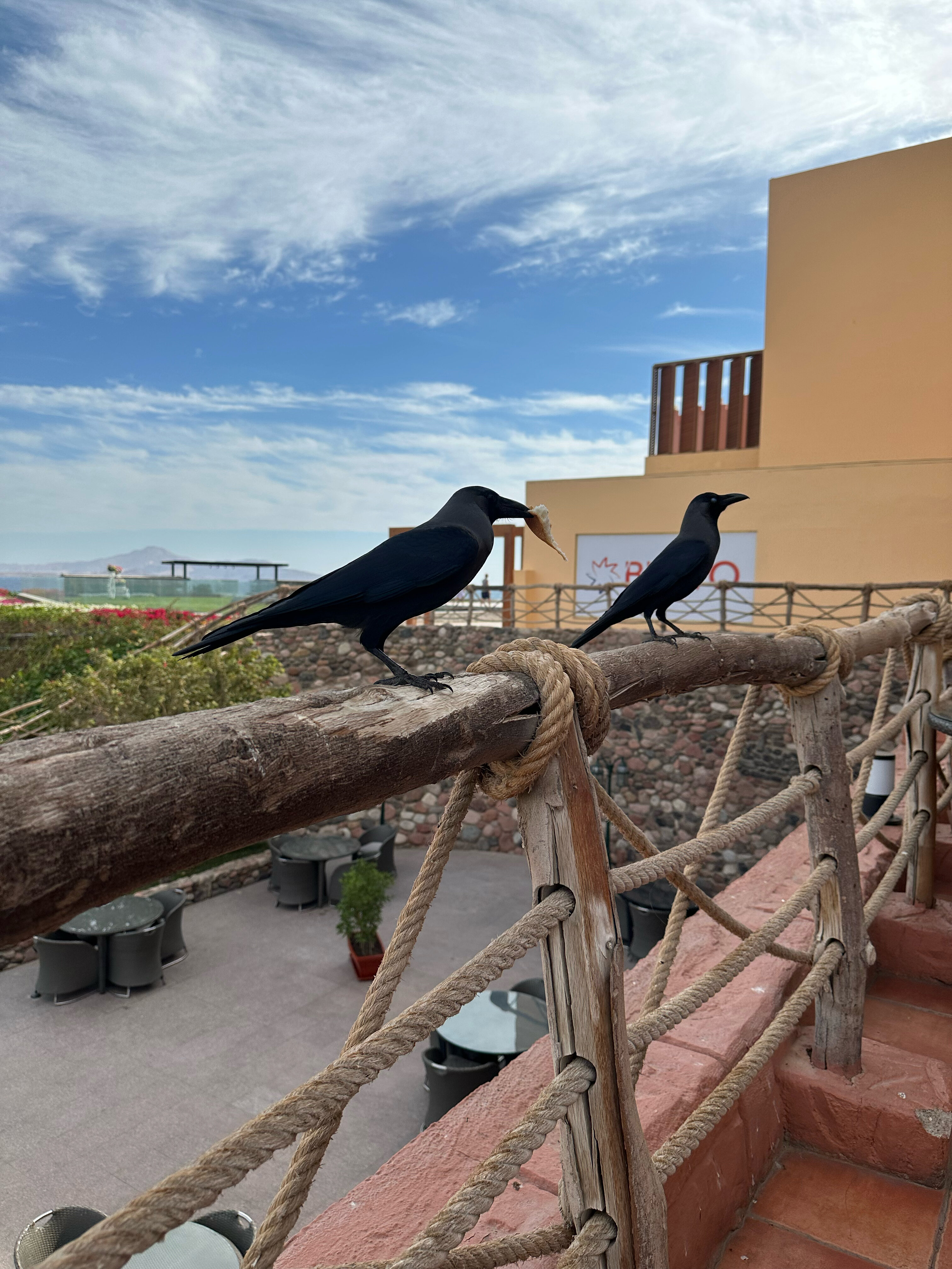 Фото Nubian Village Hotel