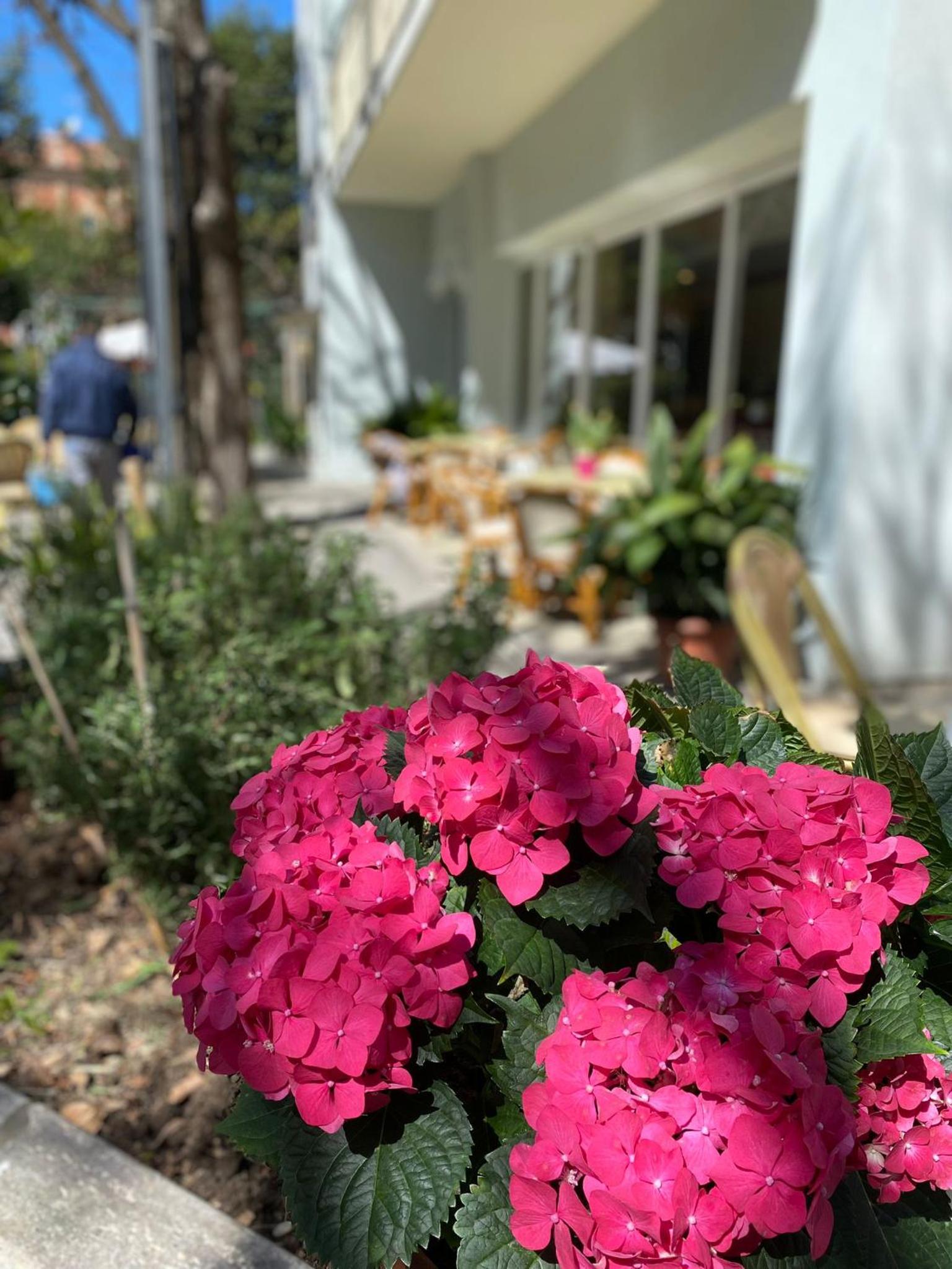 Фото Hotel Capri