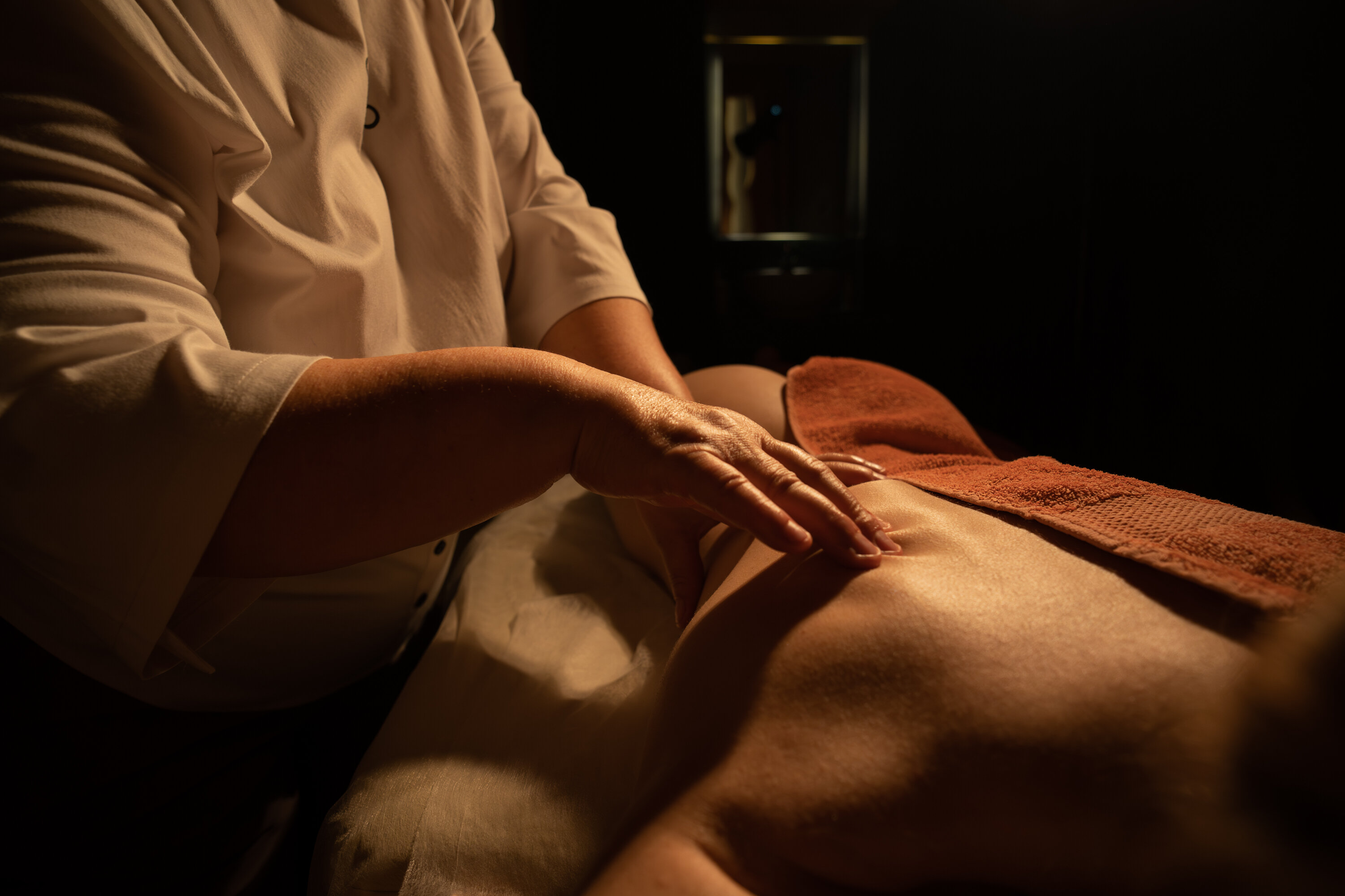 Фото Аристократ