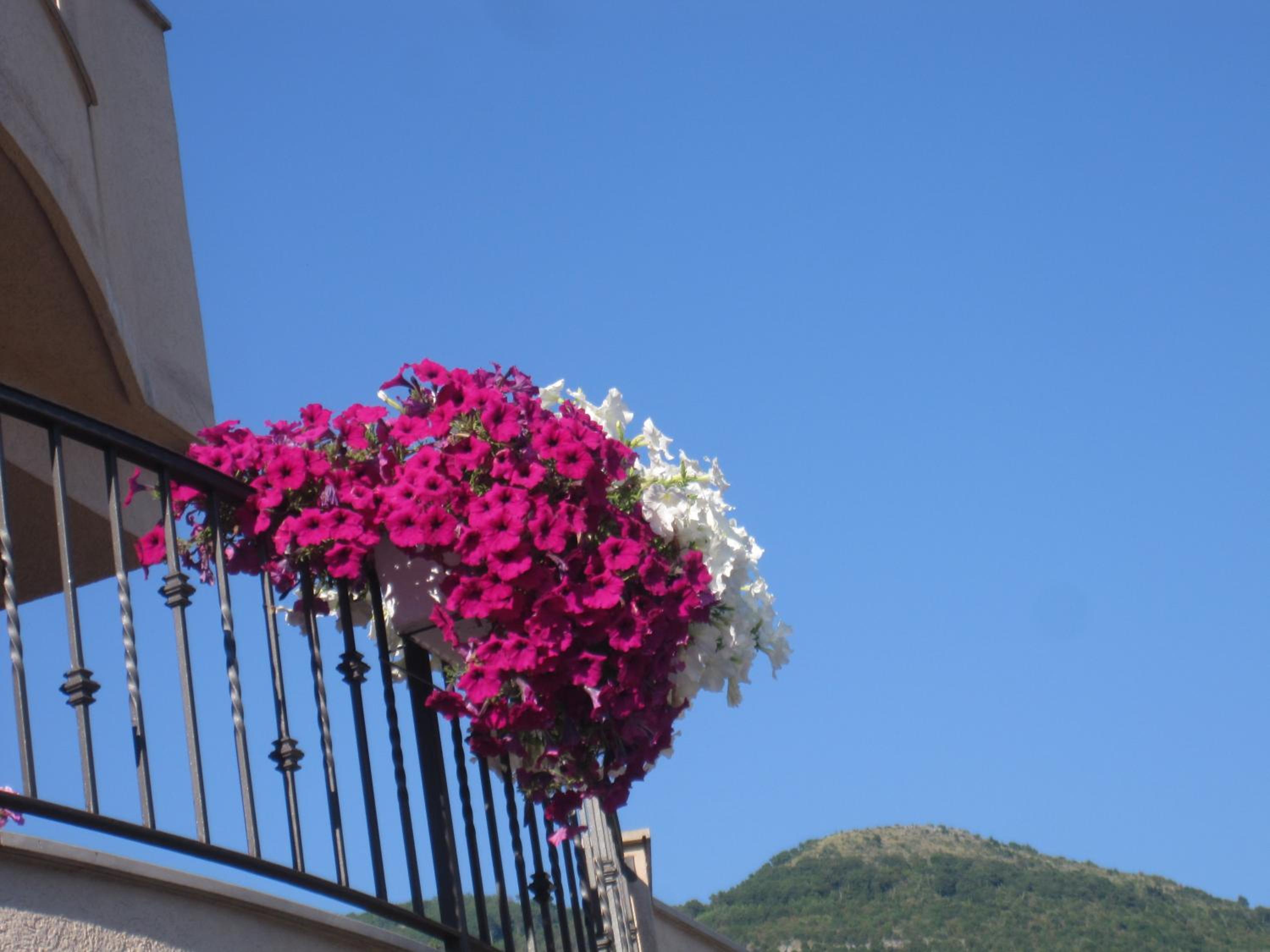 Фото Apartments City Center