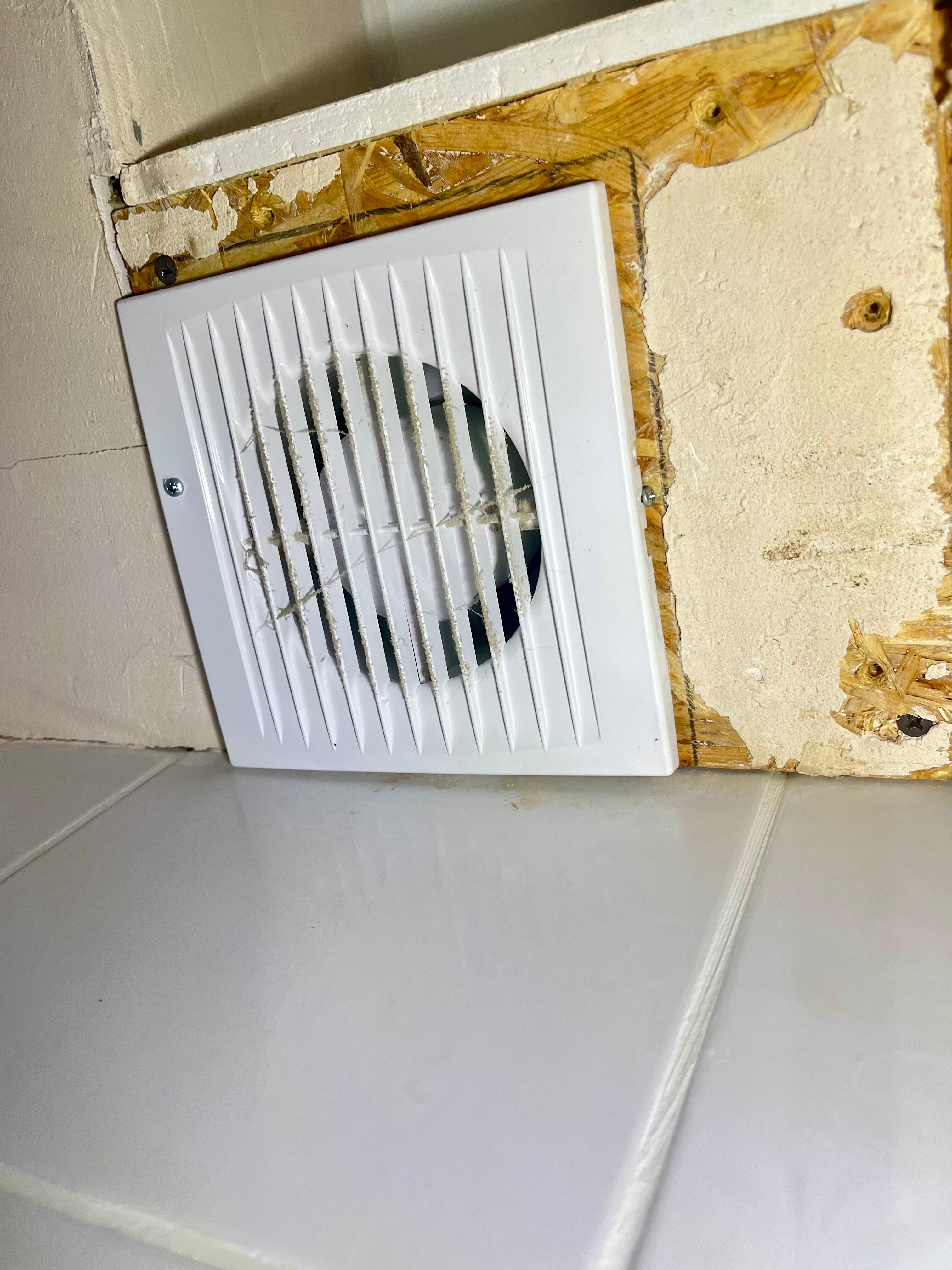 Фото Козырь