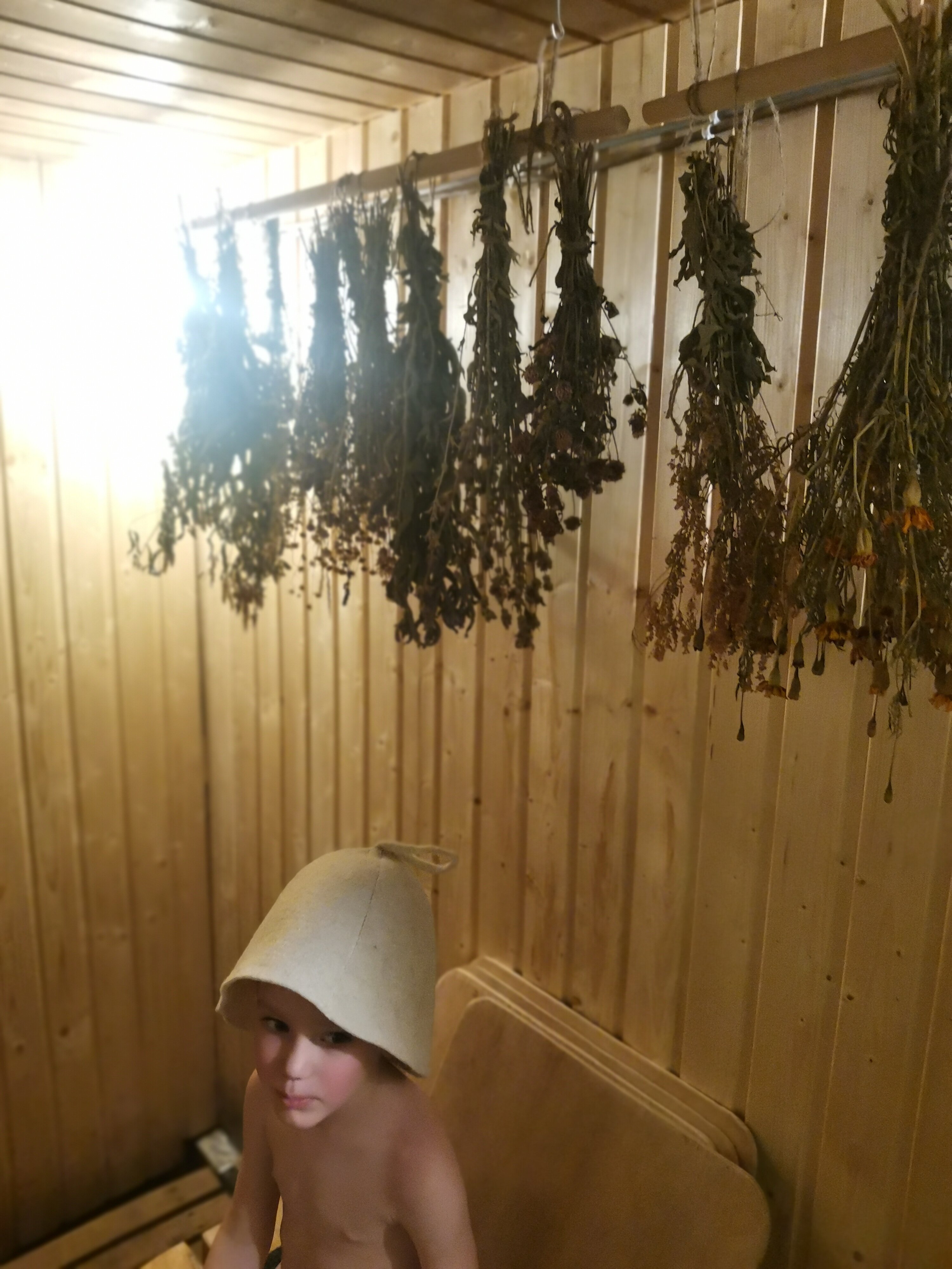 Фото Елки-палки