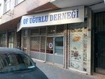 Of Ugurlu Association (İstanbul, Güngören, Cami Sok., 19B), environmental organization