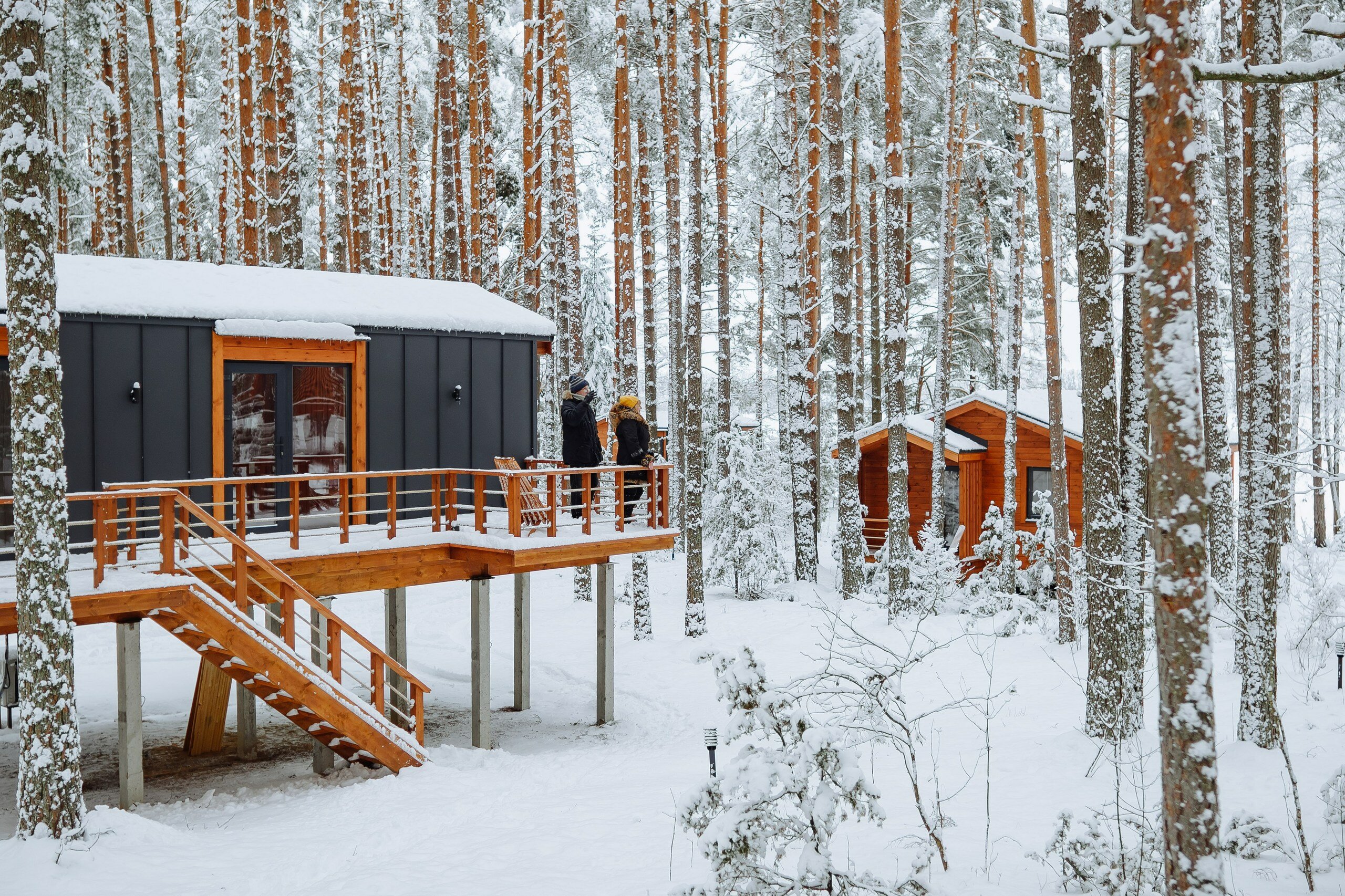 Фото Велино