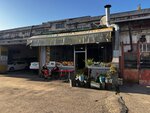 Sefin Tabagi (Istanbul, Kucukcekmece, Halkali Street, 197AA) ، مقهى