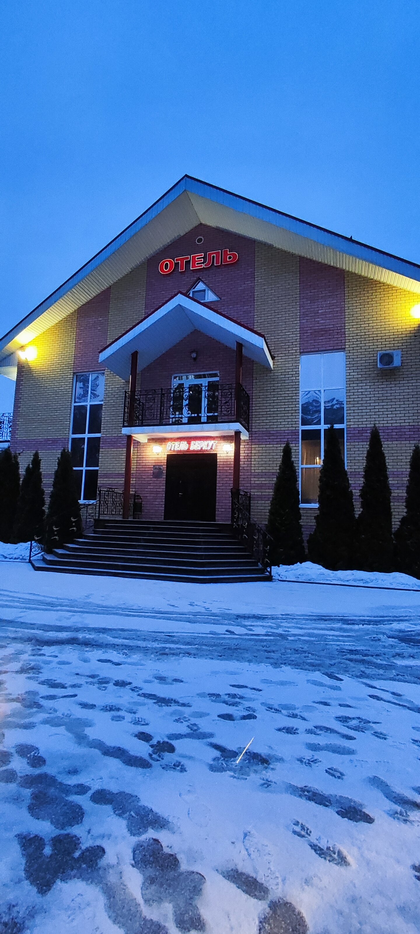 Фото Беркут