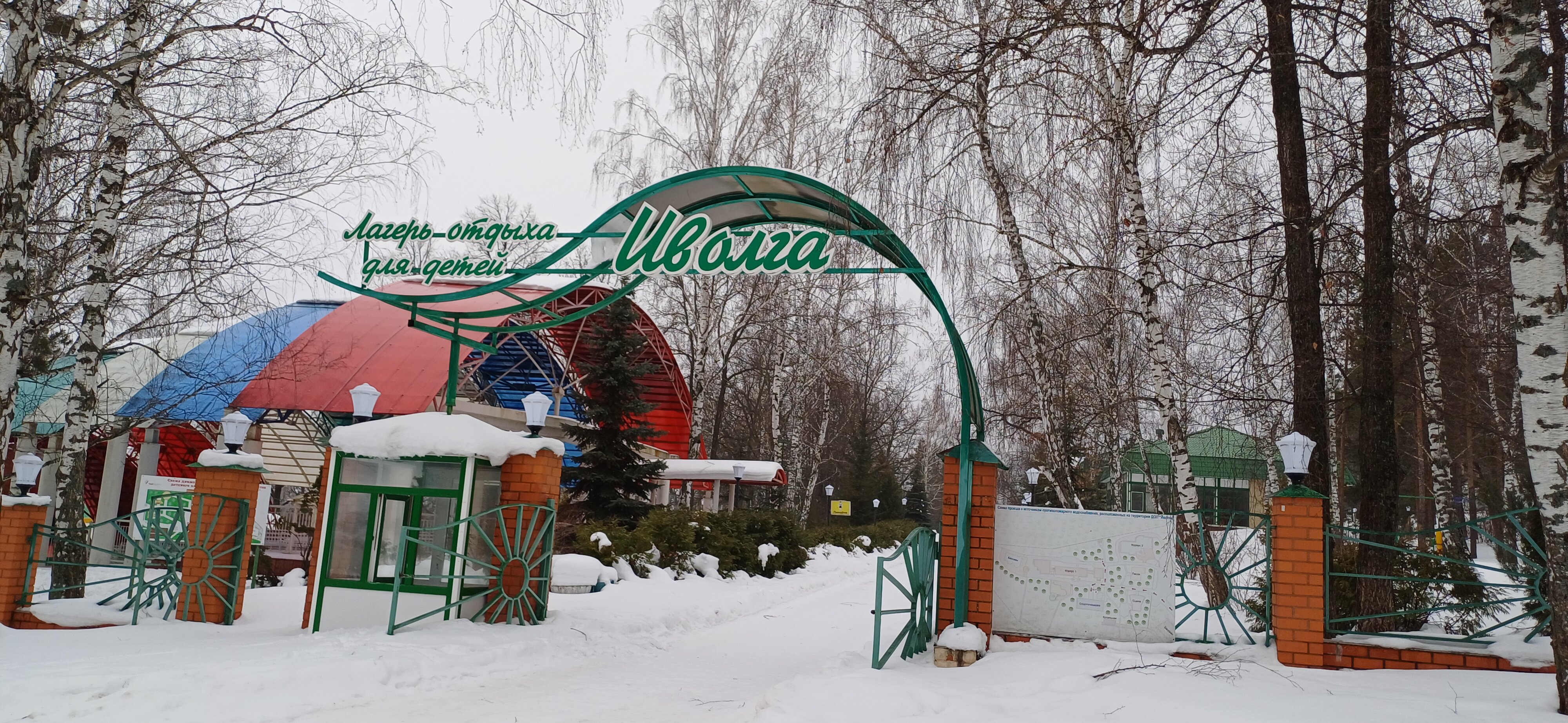 Фото Иволга