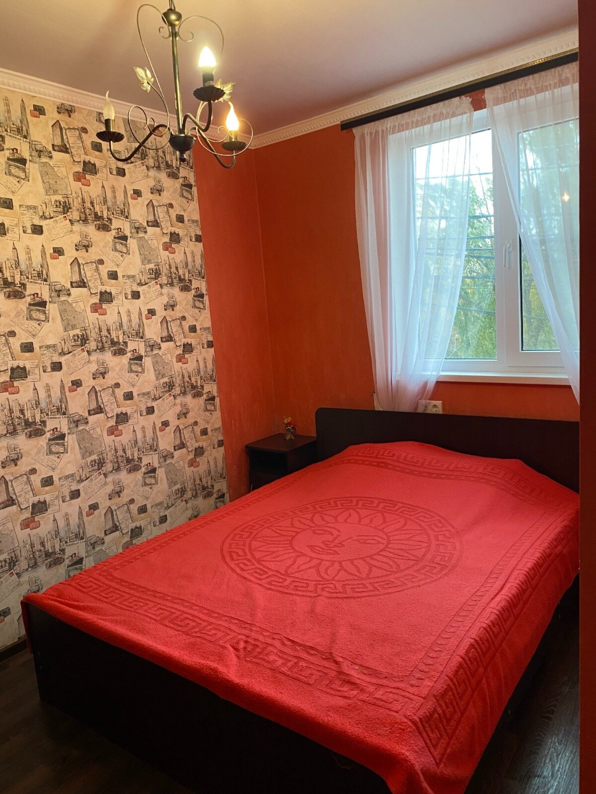 Фото Эдельвейс