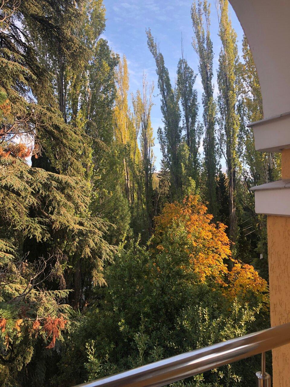 Фото Стрела