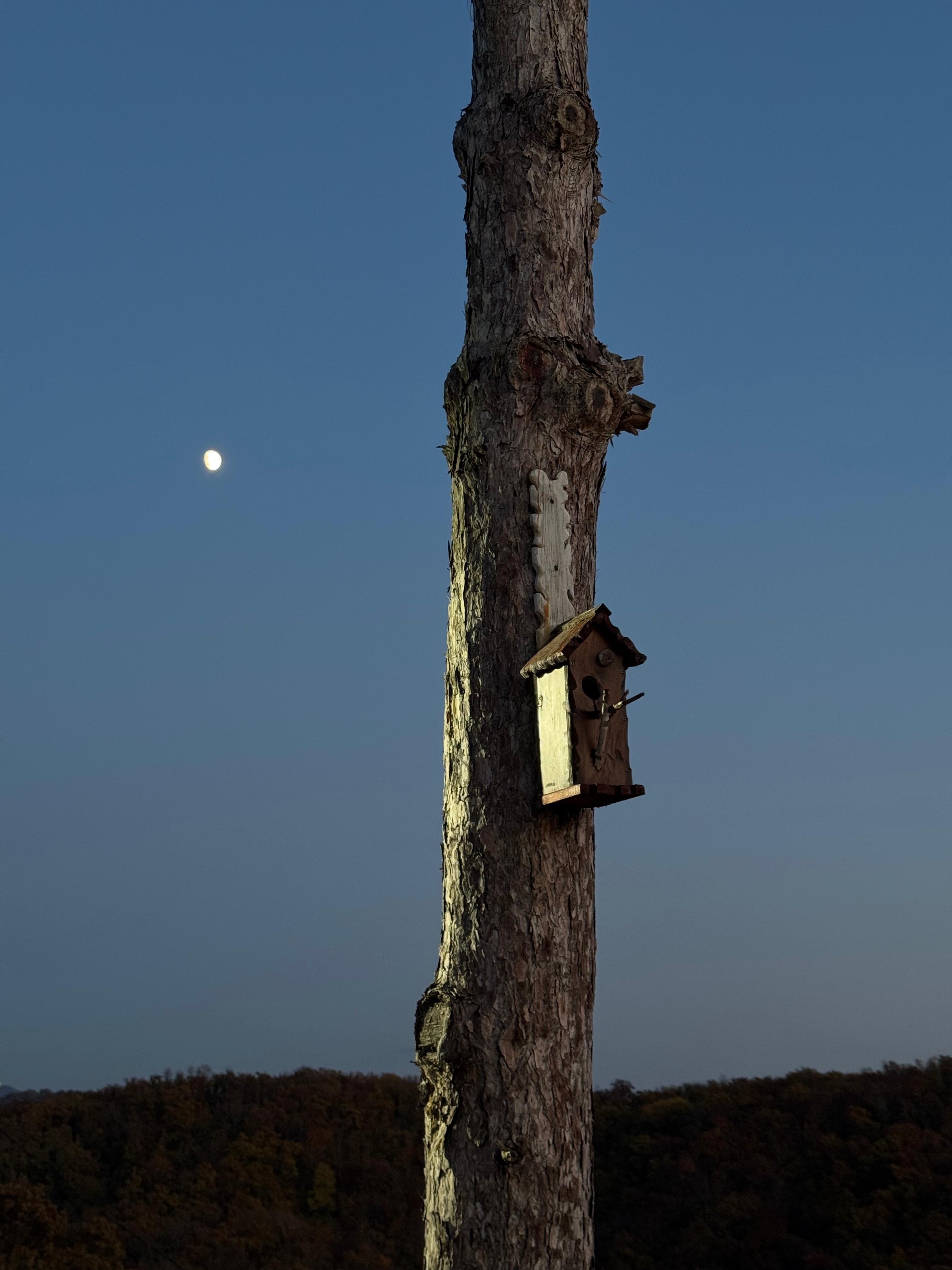 Фото Гиде Вилла