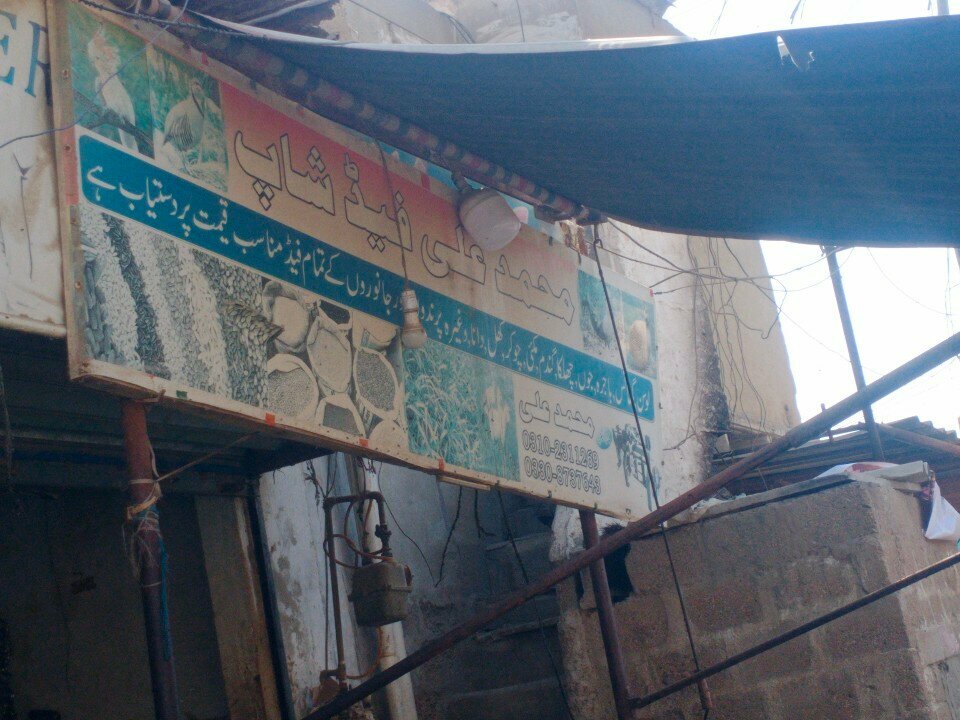 Fodder and feed additives ALi Feed Shop, Karachi, photo
