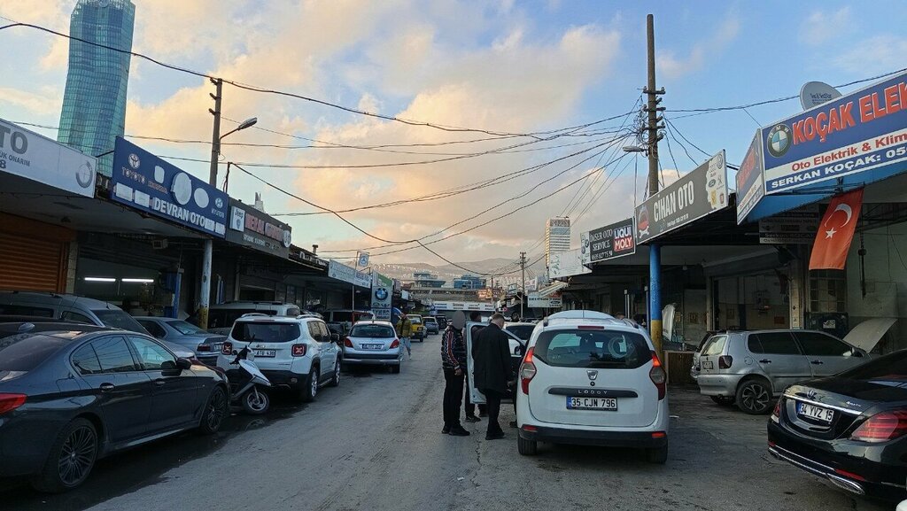 Car disassembly Safe Auto Scrap, Izmir, photo