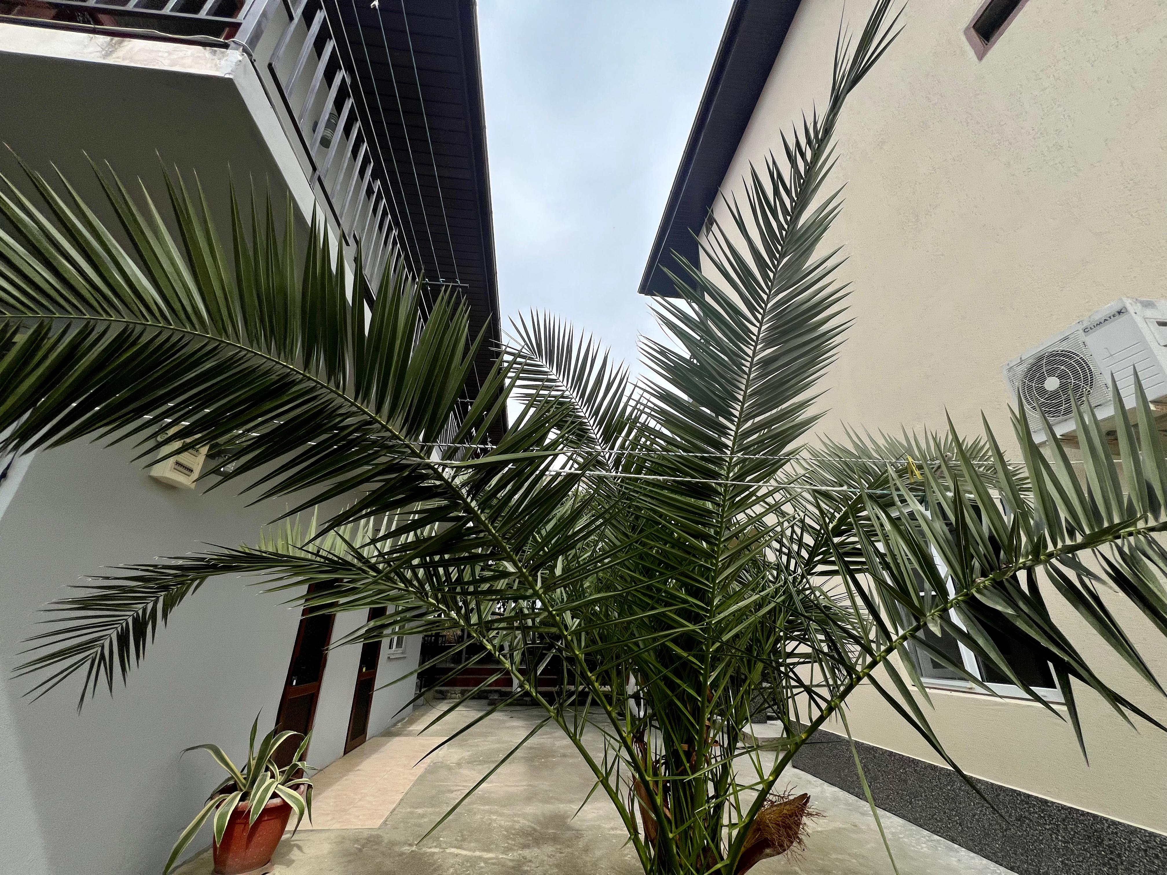 Фото Стрелец