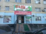 Фарм плюс kz (3-й укрупненный квартал, 1), частнопрактикующие врачи в Кызылорде