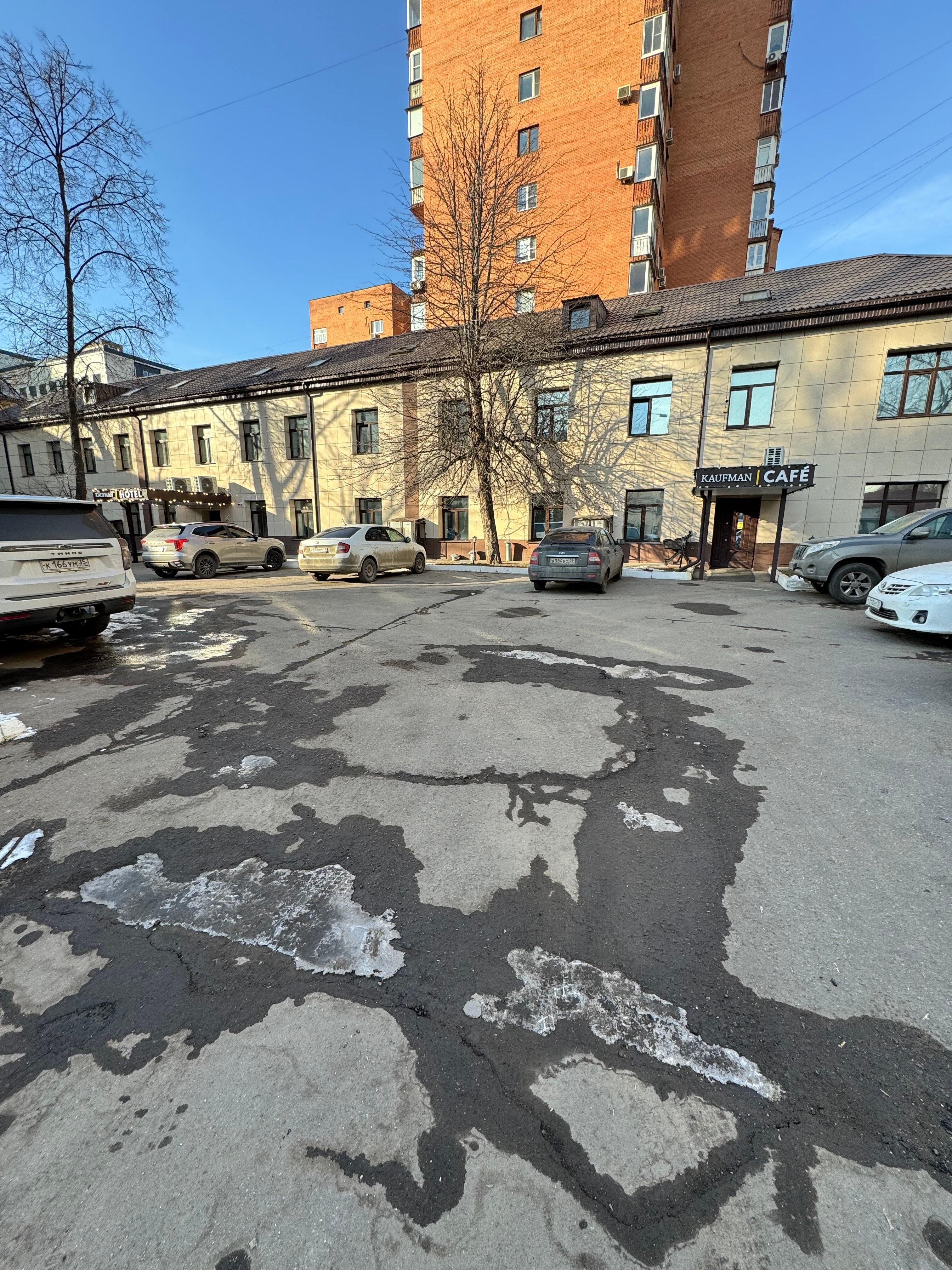 Фото Кауфман