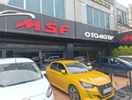 Msf Otomotiv (Istanbul, Sancaktepe, Eyup Sultan Neighborhood, Yadigar Street, 40A), exposición de coches