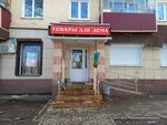 Товары для дома (Veselovskogo Street, 40), water supply and sewage systems