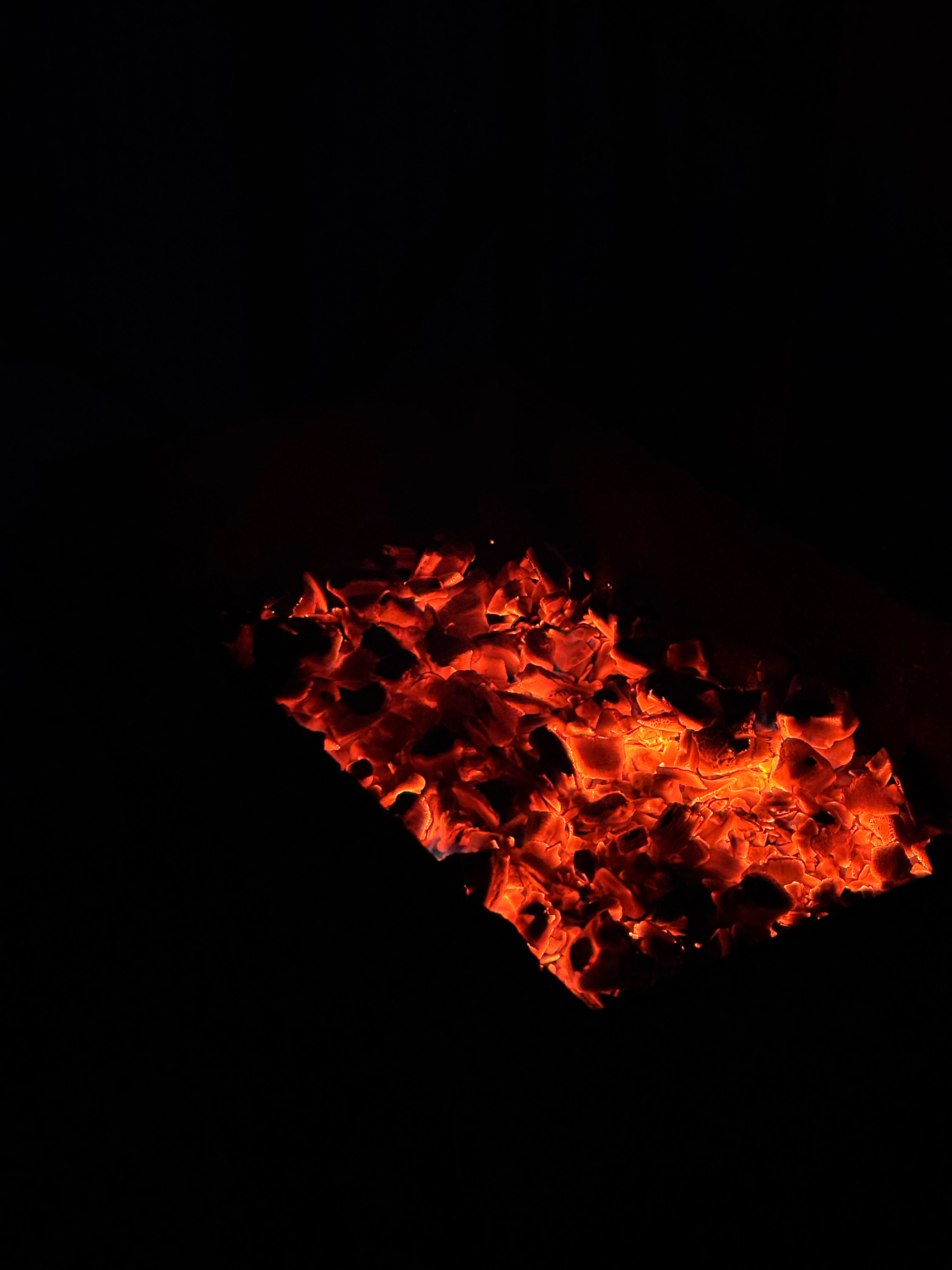 Фото Пар и сосны