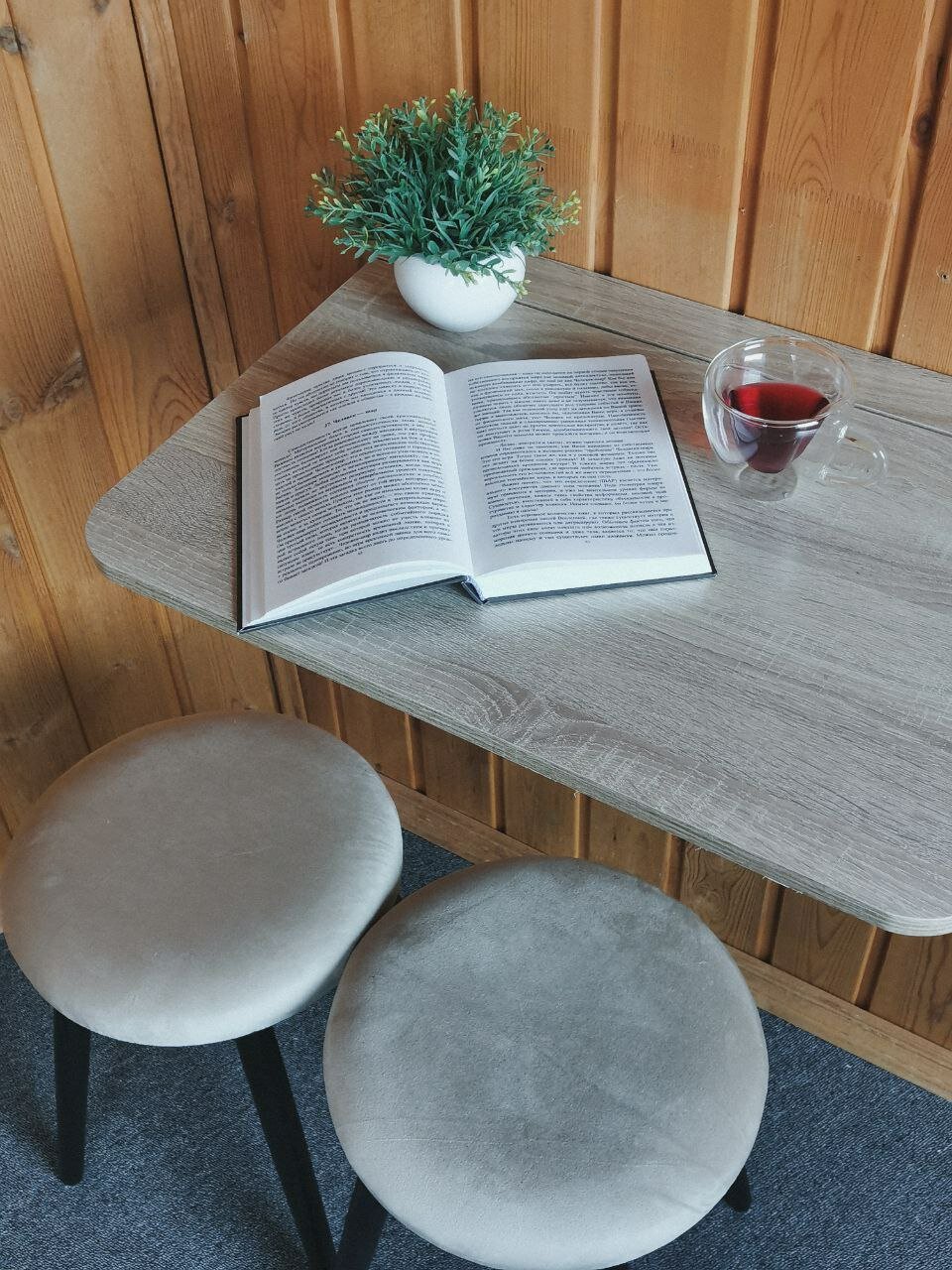 Фото Рыжая сова