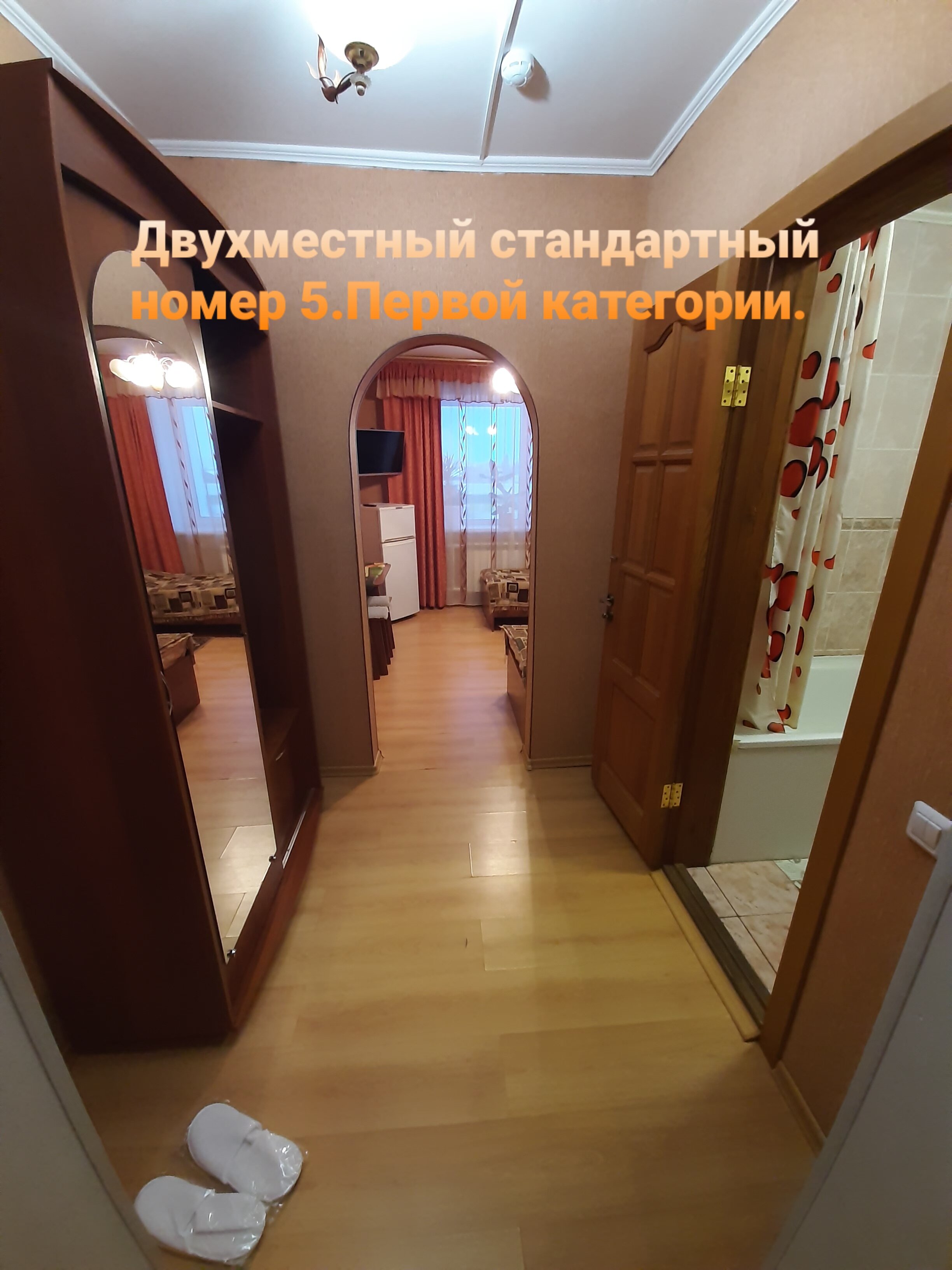 Фото Колибри