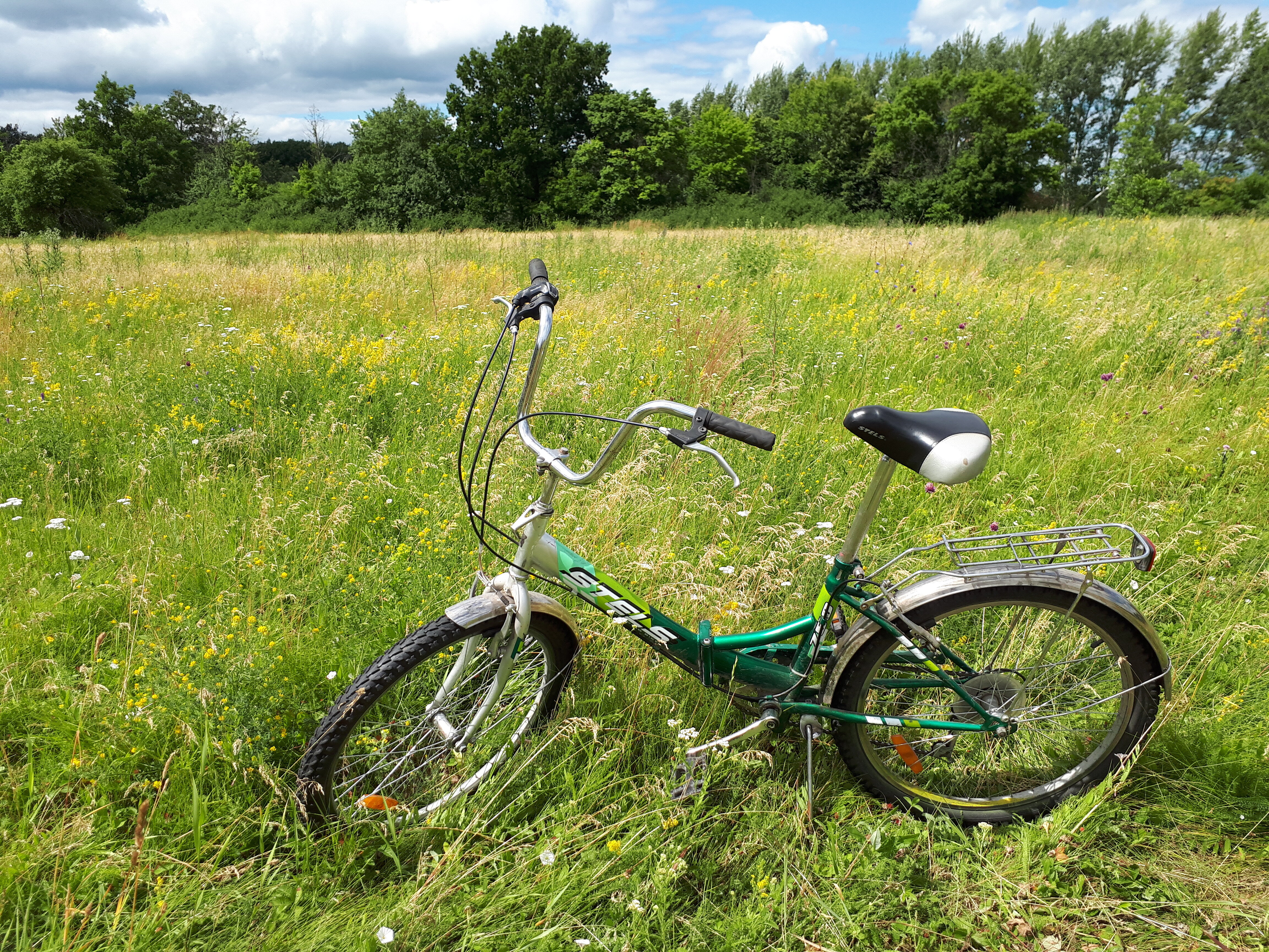 Фото Волшебница